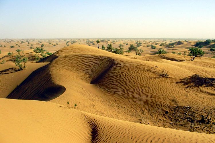 [HOAKS] Suami Istri Menghilang di Gurun Chihuahua pada 1994