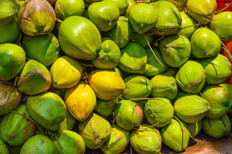 Indonesia Produsen Kelapa Terbesar di Dunia, Capai 17 Juta Ton