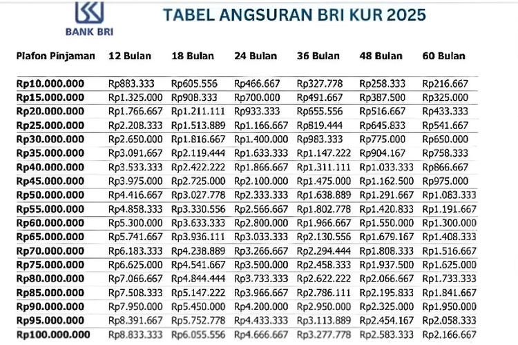 Simak Tabel Angsuran KUR BRI 2025: Plafon, Tenor, dan Cara Pengajuan