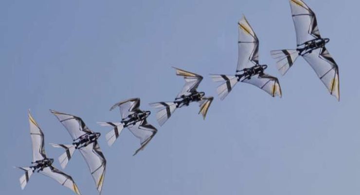 Ilmuwan Ciptakan Robot Burung yang Bisa Terbang Ala Elang
