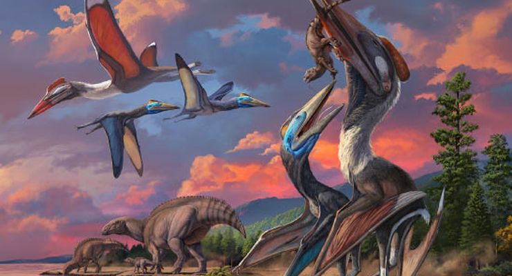 Dua Spesies Pterosaurus Baru Ditemukan di Gurun Gobi